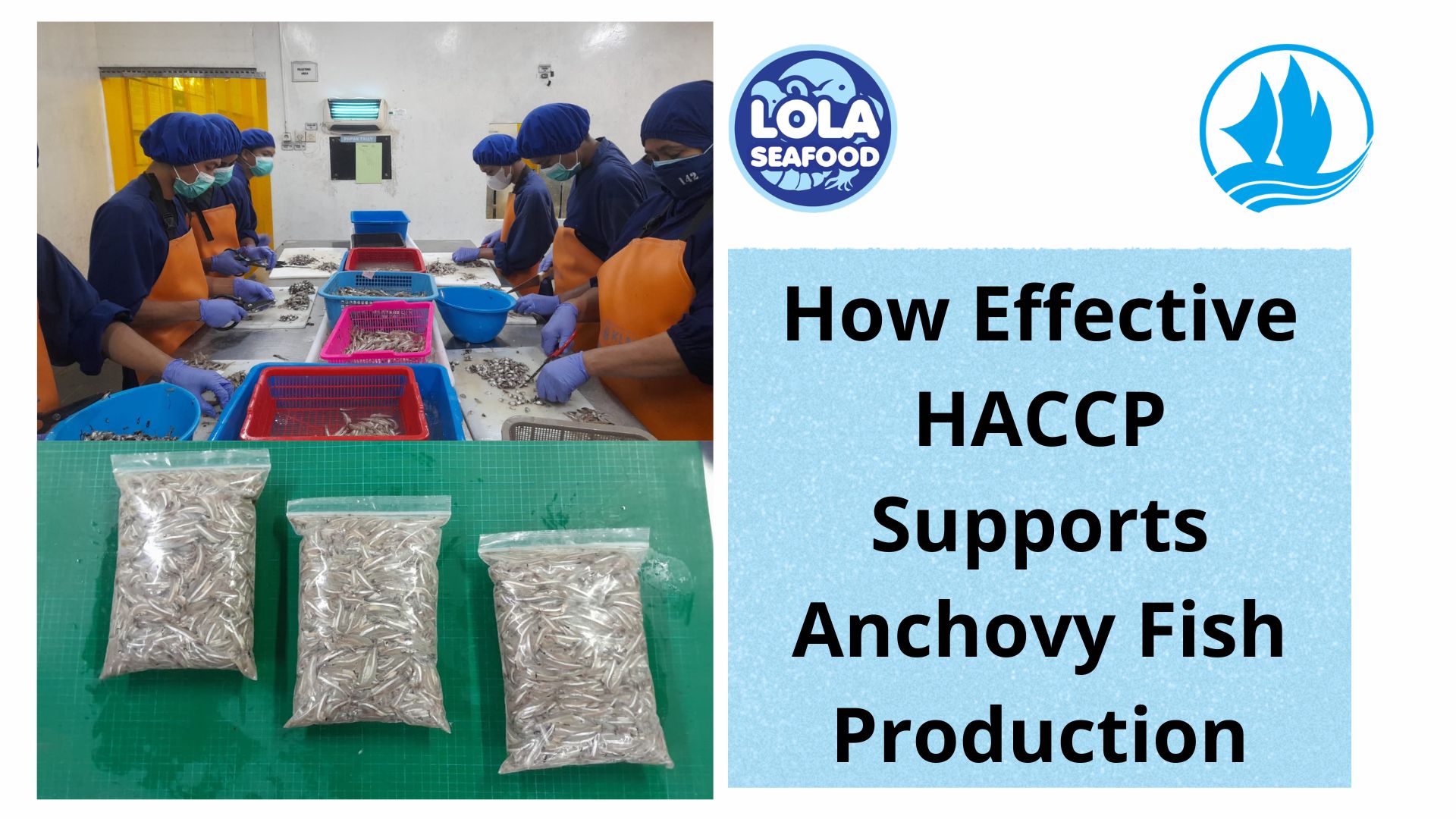  How Effective HACCP Supports Anchovy Fish Production